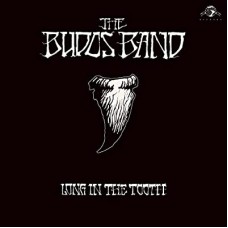 BUDOS BAND-LONG IN THE TOOTH (CD)