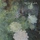 MINT FIELD-SENTIMIENTO MUNDIAL (CD)