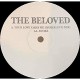 BELOVED-YOUR LOVE TAKES ME.. (12")