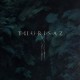 THURISAZ-RE-INCENTIVE (CD)