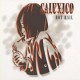 CALEXICO-HOT RAIL -ANNIVERS- (2LP)