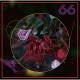 SW.-TRUELIPS (2LP)