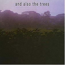 AND ALSO THE TREES-AND ALSO THE TREES (CD)