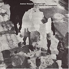 ANDREW WASYLYK-FUGITIVE LIGHT AND.. (CD)