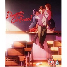 ANIMAÇÃO-DOMESTIC GIRLFRIEND (2BLU-RAY)