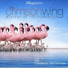 CINEMATIC ORCHESTRA-CRIMSON WING MYSTERY (CD)