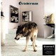 GRINDERMAN-GRINDERMAN 2 (LP)