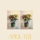 EMMY THE GREAT-APRIL (LP)