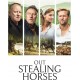 FILME-OUT STEALING HORSES (DVD)