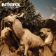 INTERPOL-OUR LOVE TO ADMIRE (CD)