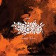 DECAY-STARING AT THE SUN (CD)