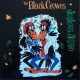 BLACK CROWES-JEALOUS AGAIN -RSD- (12")