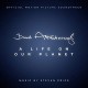 B.S.O. (BANDA SONORA ORIGINAL)-DAVID.. -HQ- (2LP)