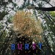 SNARLS-BURST -COLOURED/LTD- (LP)