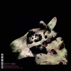 YURI HONING/WOLFERT BREDERODE-AVALON SONGS (CD)