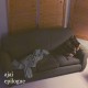 SERENGETI-AJAI EPILOGUE (7")