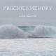 ALAN HANSLIK-PRECIOUS MEMORIES (CD)