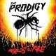 PRODIGY-WORLD'S ON FIRE-ANNIVERS- (2LP)