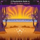 V/A-A PSYCHEDELIC GUIDE TO.. (CD)
