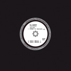 MUSLIMGAUZE-A.P REWORKS TWO (12")