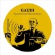 GAUDI-THEREMIN IN HAND (7")