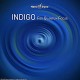 J.S. EPPERSON-INDIGO FOR QUANTUM GOODS (CD)