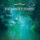 JEFFREE CLARKSON-ENCHANTED FOREST (CD)