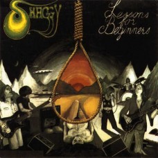 SHAGGY-LESSONS FOR BEGINNERS (LP)