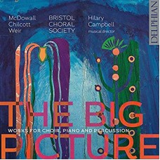 CECILIA MCDOWALL & BOB CHILCOTT-BIG PICTURE (CD)