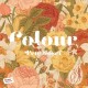 PETE JOSEF-COLOUR -COLOURED- (LP)