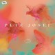 PETE JOSEF-I RISE WITH THE BIRDS (CD)