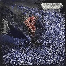 OF FEATHER AND BONE-SULFURIC DISINTEGRATION (LP)
