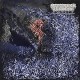 OF FEATHER AND BONE-SULFURIC DISINTEGRATION (LP)