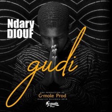 NDARY DIOUF-GUDI (CD)