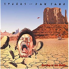 TYGERS OF PAN TANG-BURNING IN.. -COLOURED- (LP)