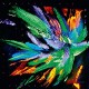 KOLSCH-NOW HERE NO WHERE (2LP)