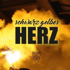 OIDORNO-SCHWARZ GELBES HERZ (LP)