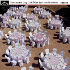 SENSIBLE GRAY CELLS-GET BACK INTO THE WORLD (LP)