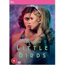 SÉRIES TV-LITTLE BIRDS (2DVD)