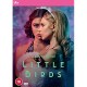 SÉRIES TV-LITTLE BIRDS (2DVD)