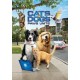 FILME-CATS & DOGS: PAWS UNITE! (DVD)