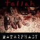 TALLAH-MATRIPHAGY (LP)