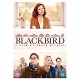 FILME-BLACKBIRD (DVD)