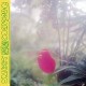 JABU-SWEET COMPANY (LP)