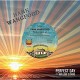 HANK WANGFORD-PERFECT DAY (7")