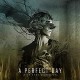 A PERFECT DAY-WITH EYES WIDE OPEN (CD)
