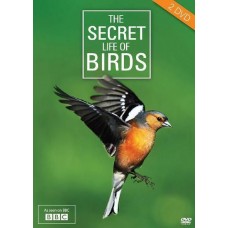 DOCUMENTÁRIO-SECRET LIFE OF BIRDS (2DVD)