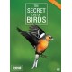 DOCUMENTÁRIO-SECRET LIFE OF BIRDS (2DVD)