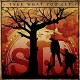 S.I.G.-TAKE WHAT YOU GET (LP)