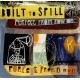 BUILT TO SPILL-PERFECT FROM NOW ON (LP)
